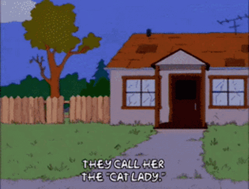 Cat Lady Simpsons Cat GIF