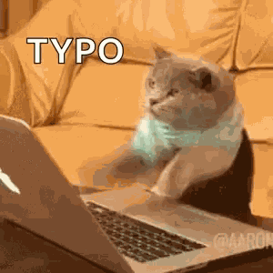 Cat Laptop GIF