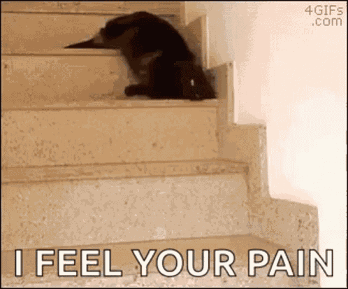 Cat Lazy GIF