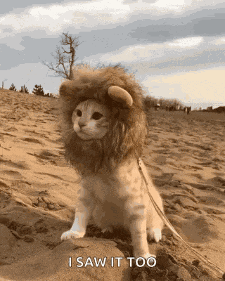 Cat Lion GIF