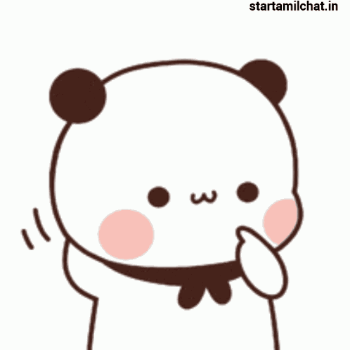 Cat Lol GIF