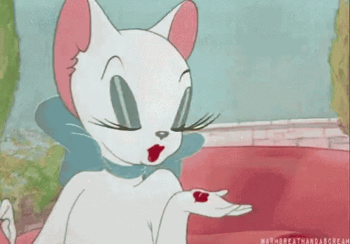 Cat Love GIF