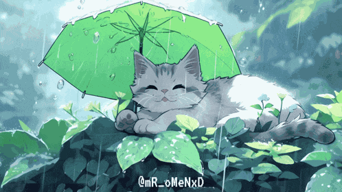 Cat GIF