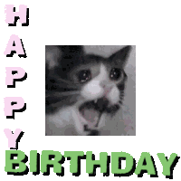 Cat Meme Birthday Sticker