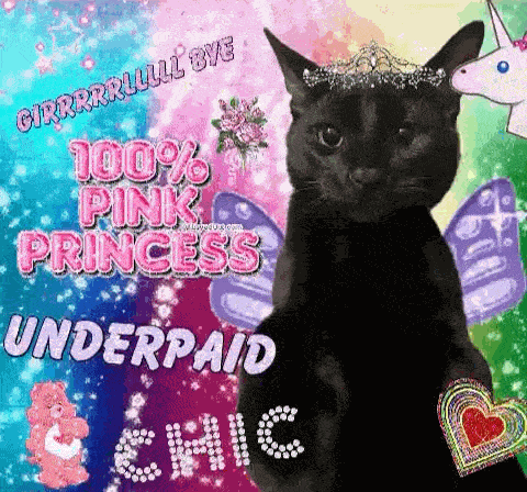 Cat Meme Black Cat GIF