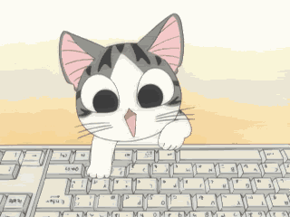Cat Meme Cat Meme Funny GIF