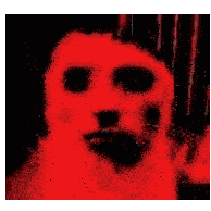 Cat Meme Cat Scary Sticker