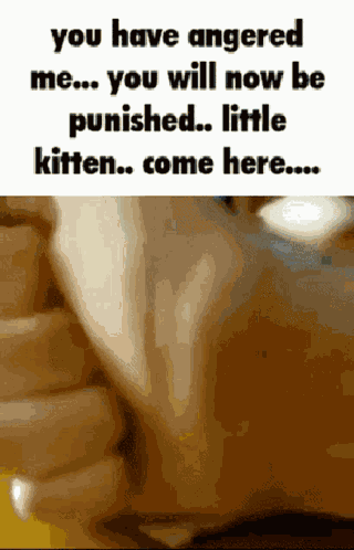 Cat Meme Get Real GIF