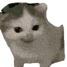 Cat Meme Sticker