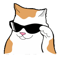 Cat Meme Lentes Sticker