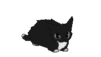 Cat Meme Sticker