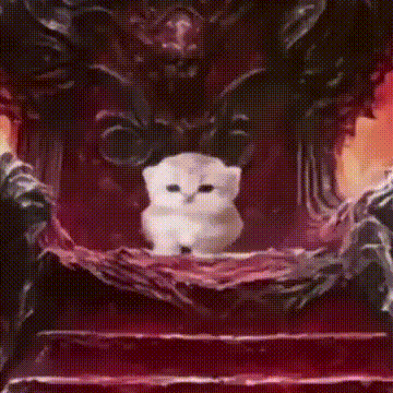 Cat Meme Obama GIF