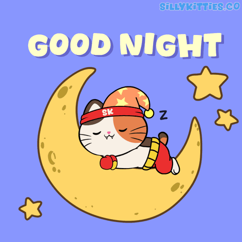 Cat Night GIF