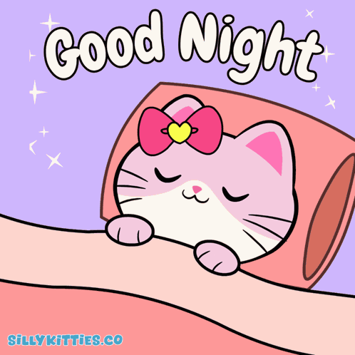Cat Night GIF
