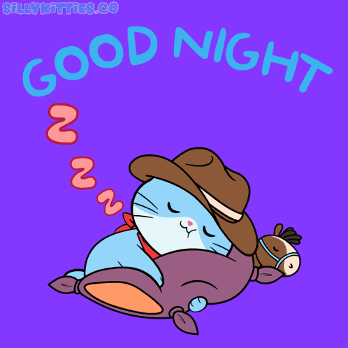 Cat Night GIF