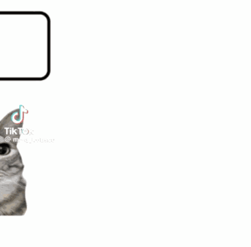 Cat On Phone Cat On Da Phone GIF