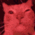 Cat Party Rainbow GIF