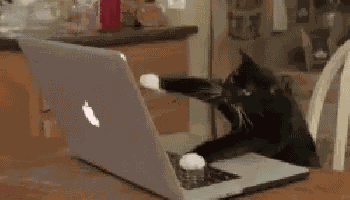 Cat Pc GIF