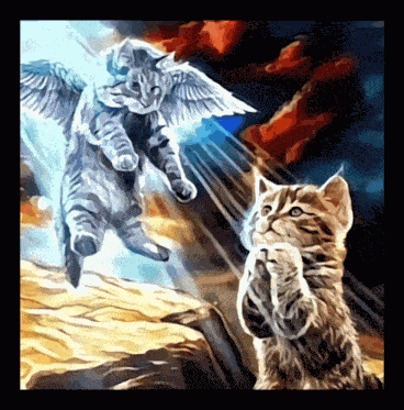 Cat Pray GIF