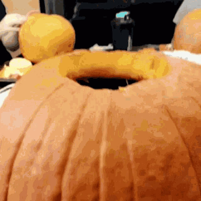 Cat Pumpkin GIF