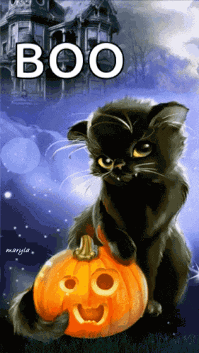 Cat Pumpkin GIF