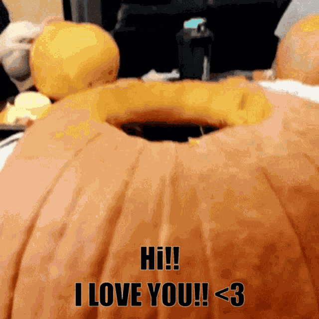 Cat Pumpkin GIF