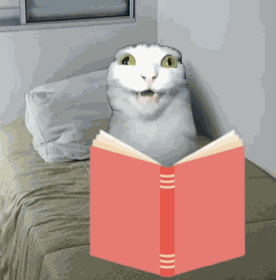 Cat Reading Cat Speaking GIF
