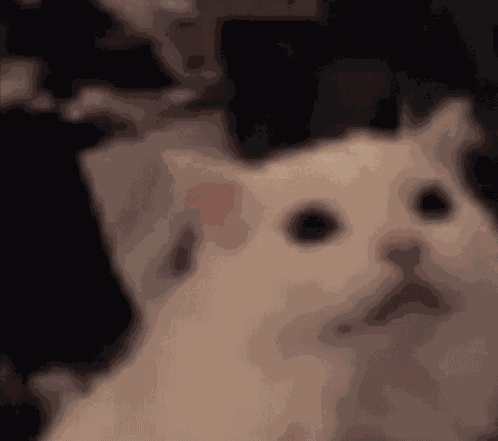 Cat Red Eyes GIF