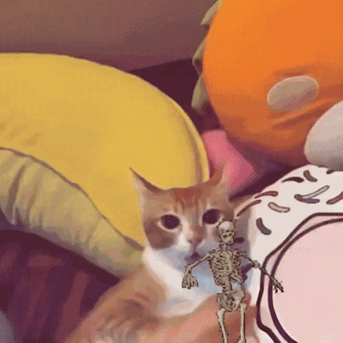 Cat Scared Skeleton Meme GIF
