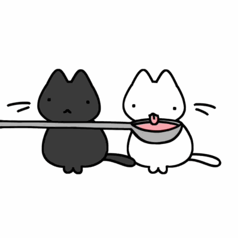 Cat GIF