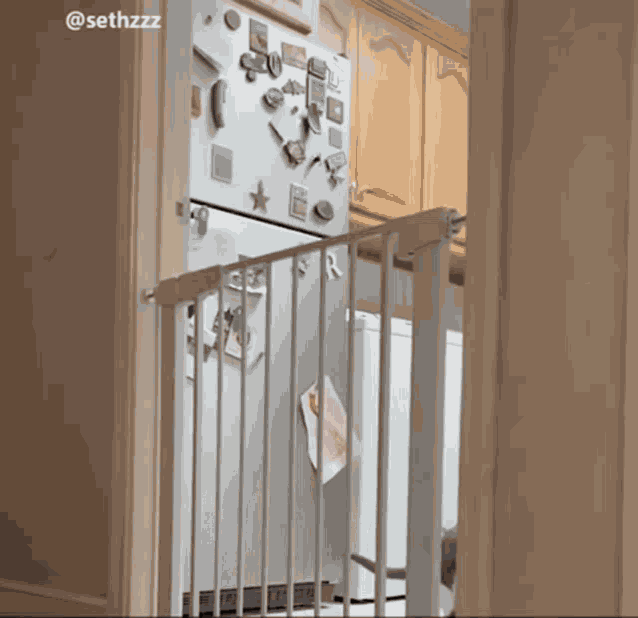 Cat Slow Motion Cats GIF