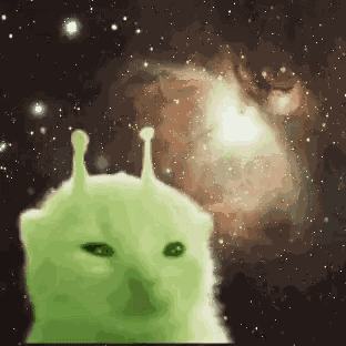 Cat GIF