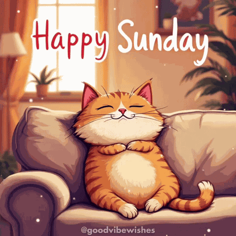 Cat Sunday GIF
