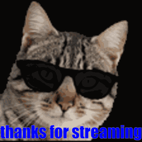 Cat Thanks GIF