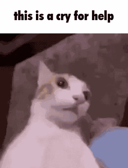 Cat This Is A Cry For Help GIF