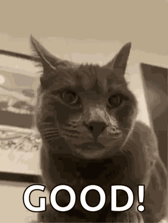 Cat Thumbs Up GIF