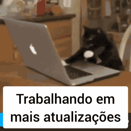 Cat Trabalhando GIF