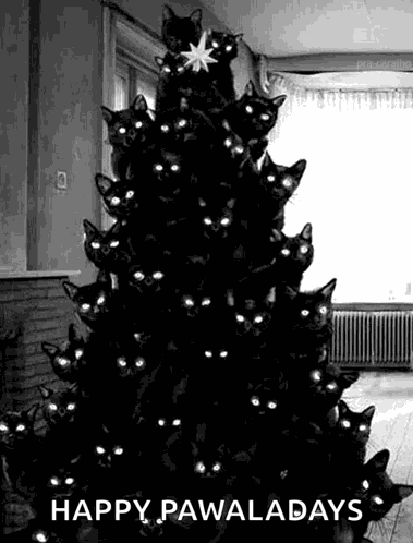 Cat Tree Spooky Christmas GIF