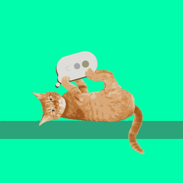 Cat Typing GIF