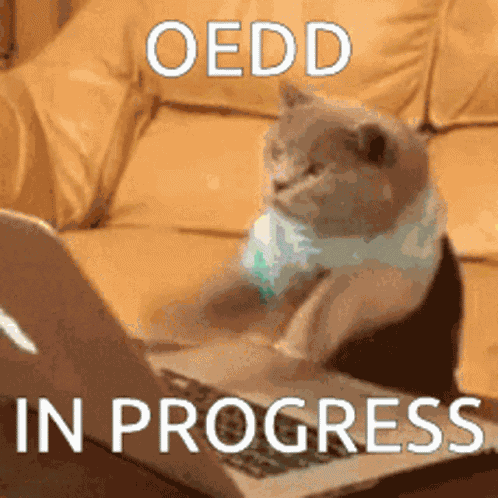 Cat Typing GIF