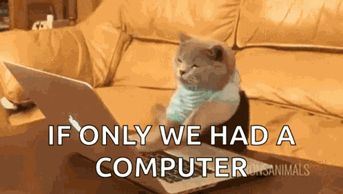 Cat Typing GIF