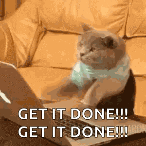 Cat Typing GIF