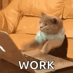 Cat Typing GIF