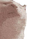 Cat Vibe Vibe Cat Sticker