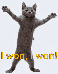 Cat Victory Dance GIF