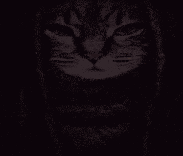 Cat Von King Von GIF