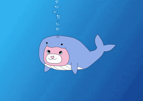 Cat Whale GIF