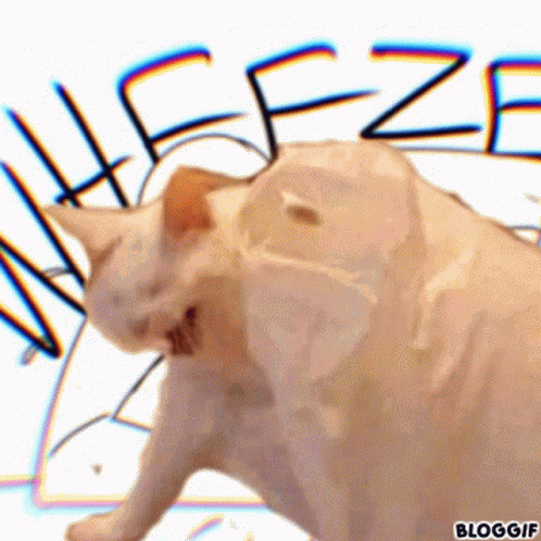 Cat Wheezing Cat Wheeze GIF