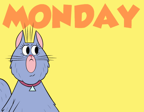 Cat Work GIF