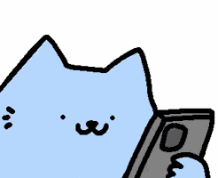 Cat Wtf Neko Wtf GIF